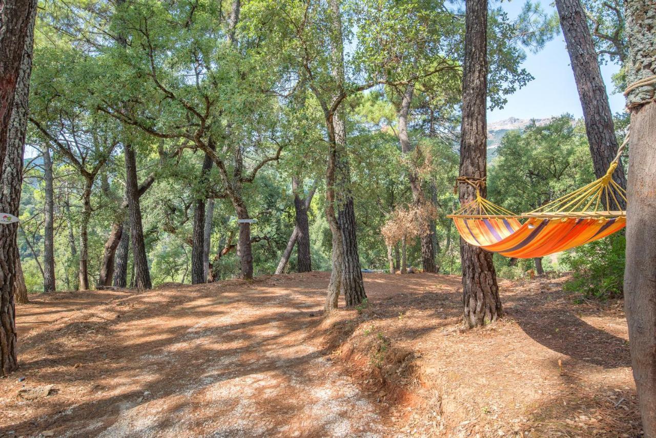 Casa Rural Monte Dios Jubrique Ngoại thất bức ảnh
